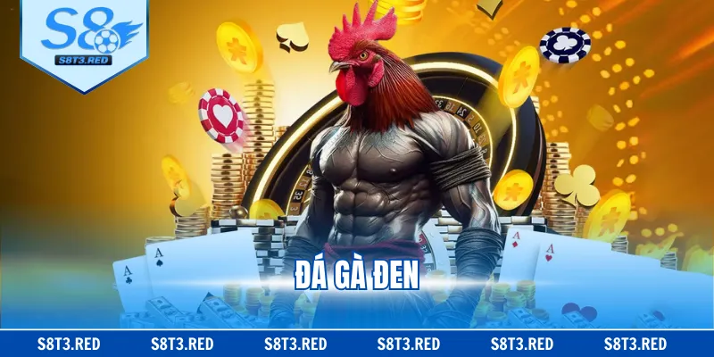 Đá Gà Đen - Khám Phá Ngay 5 Điểm Cần Biết Dành Cho Newbie