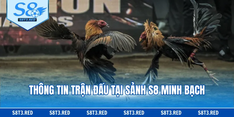 Thông tin trận đấu tại sảnh S8 minh bạch
