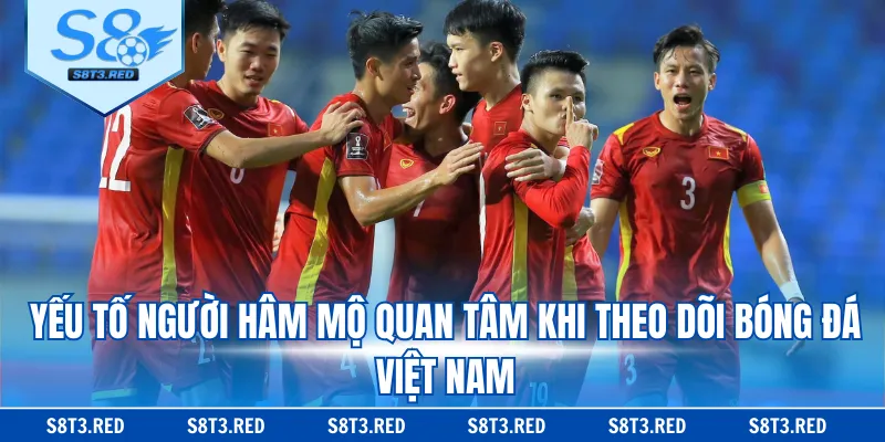 Yếu tố người hâm mộ quan tâm khi theo dõi bóng đá Việt Nam